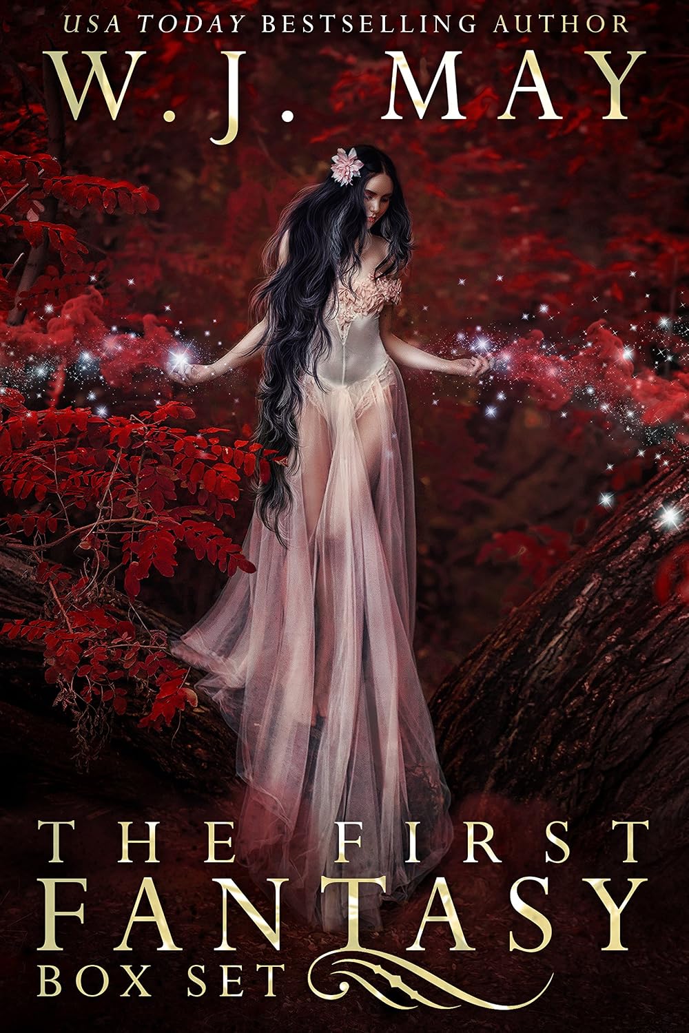 The First Fantasy (Boxed Set) by W.J. May book cover