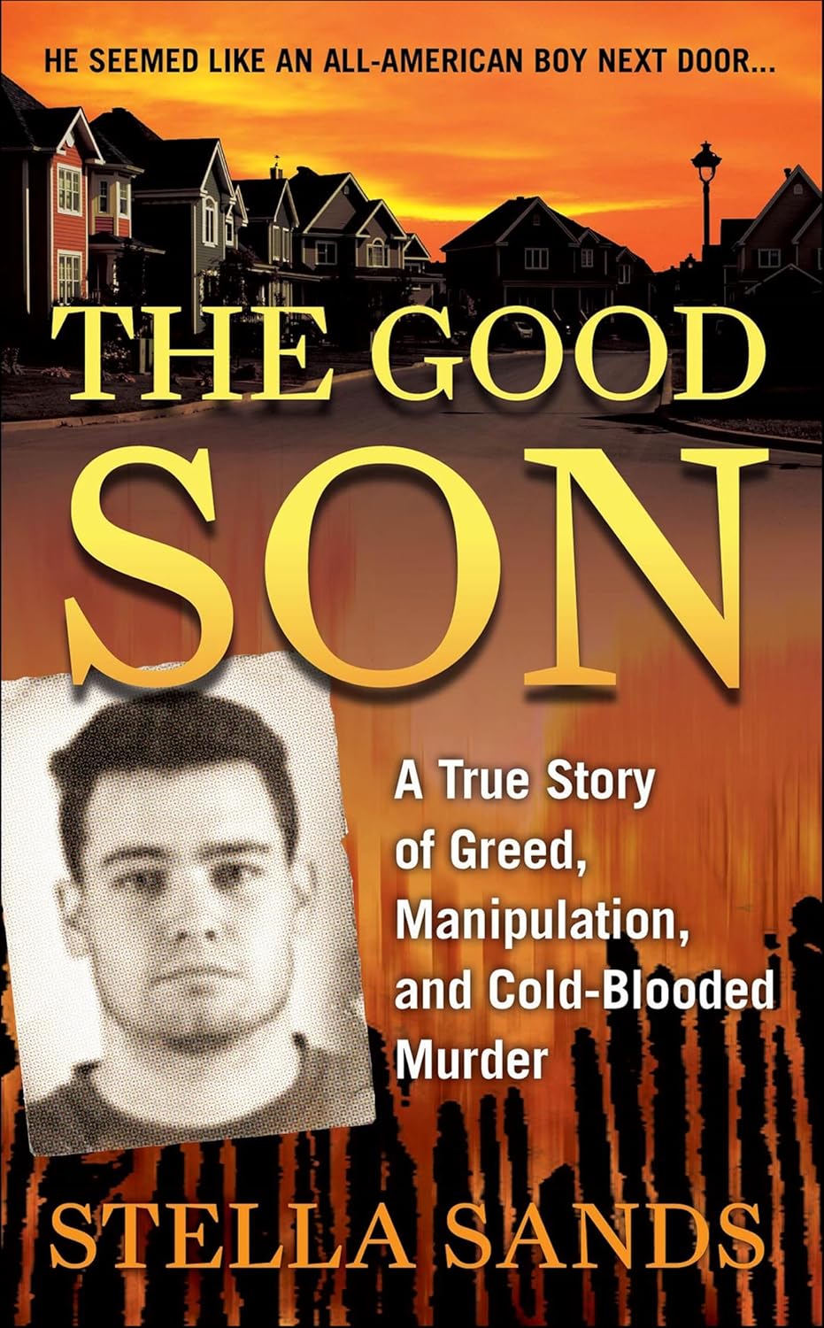 The Good Son by Stella Sands book cover