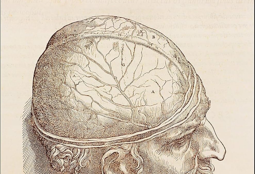 The Mind & The Brain
