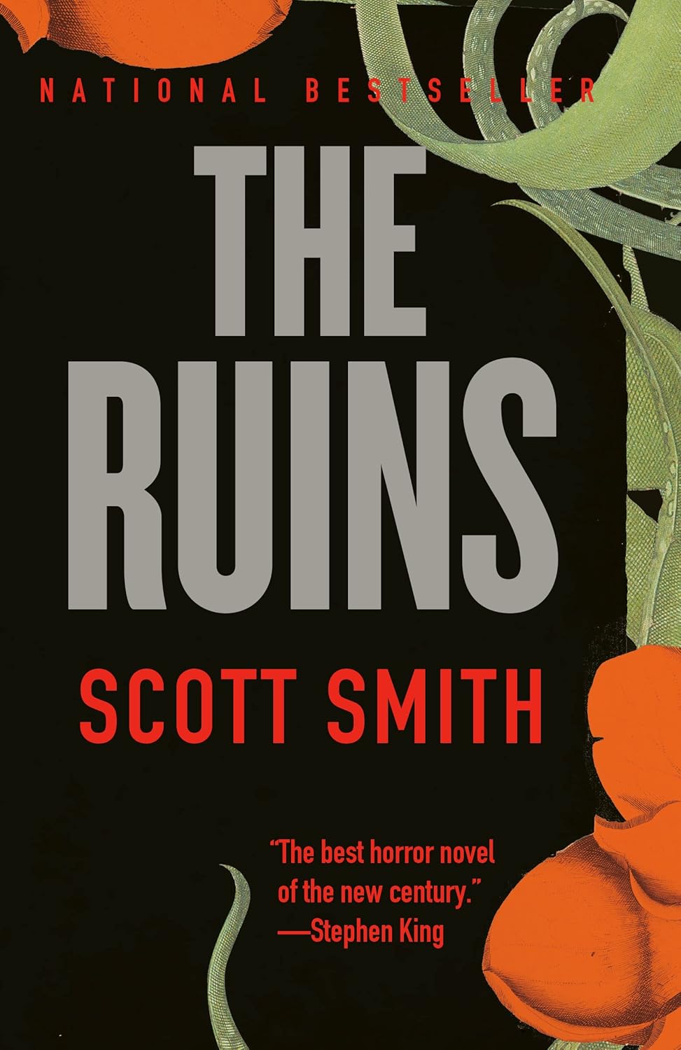 The Ruins by Scott Smith book cover