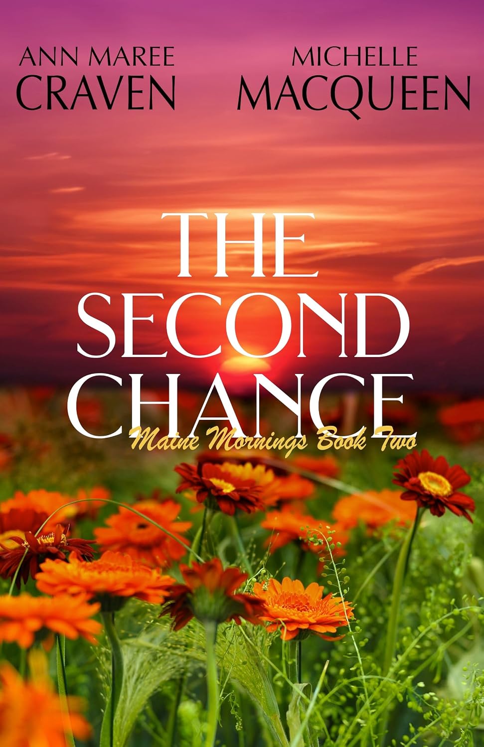 The Second Chance by Michelle MacQueen book cover