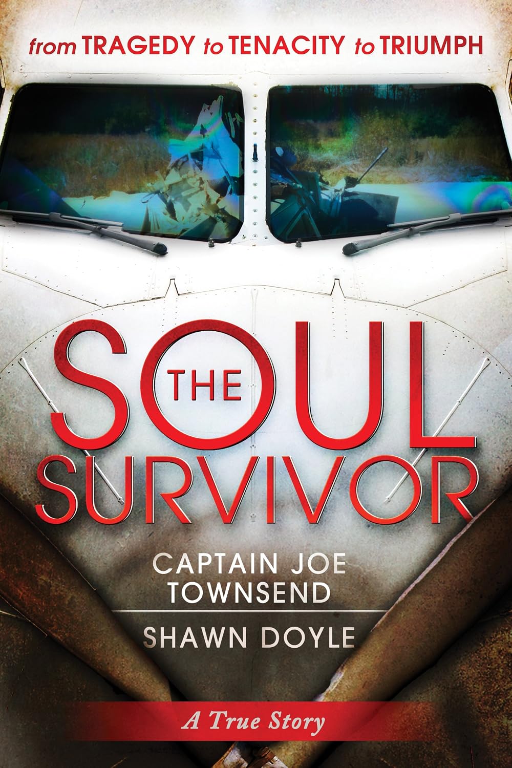 The Soul Survivor by Shawn Doyle book cover