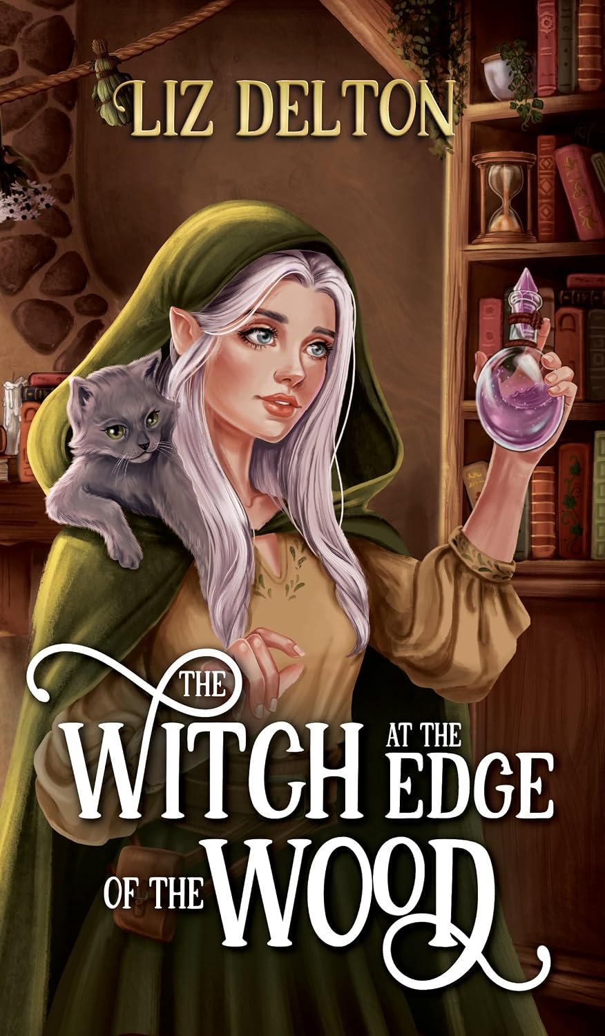 The Witch at the Edge of the Wood by Liz Delton book cover