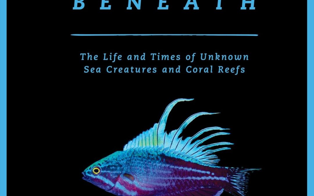 The World Beneath