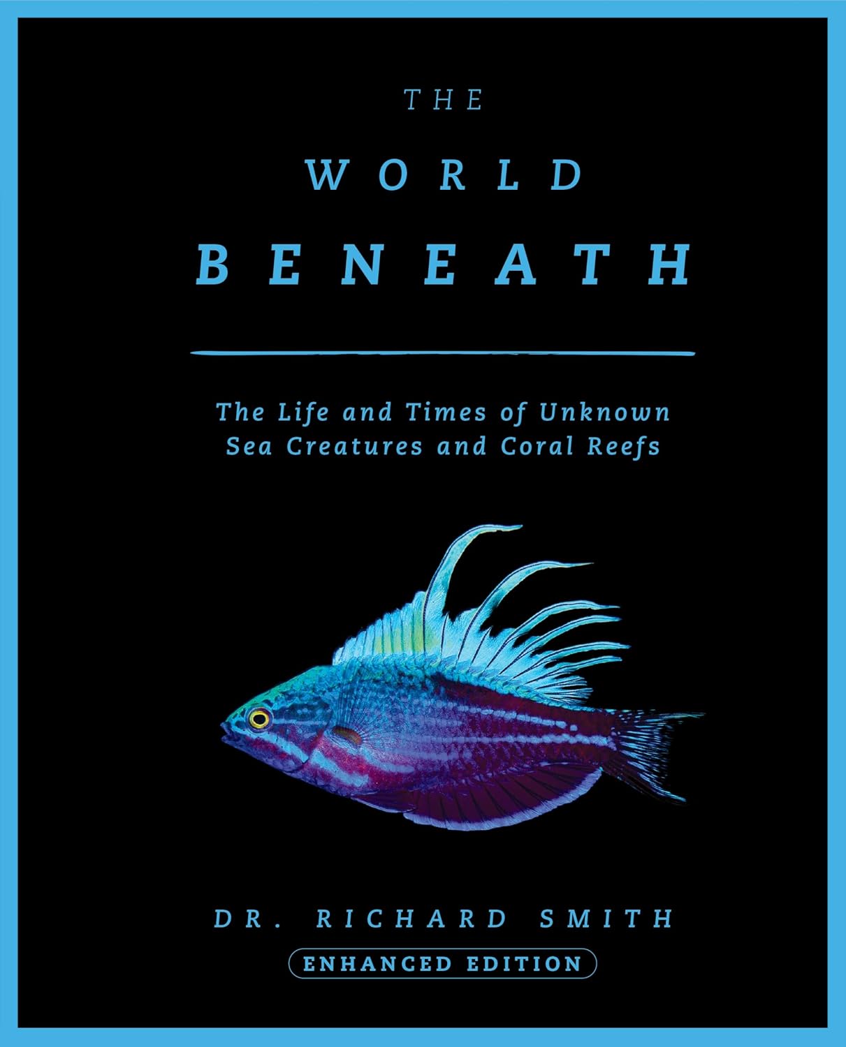 The World Beneath by Richard Smith book cover