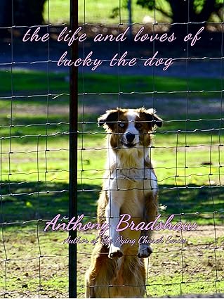 The Life and Loves of Lucky the Dog by Anthony Bradshaw book cover