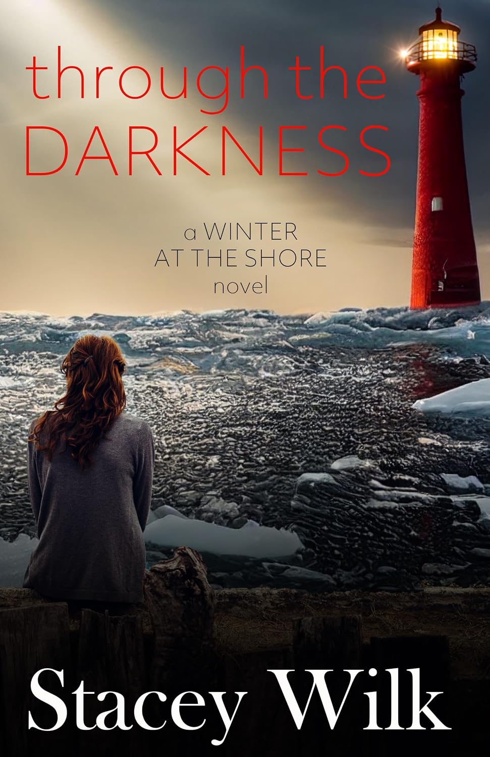 Through the Darkness by Stacey Wilk book cover
