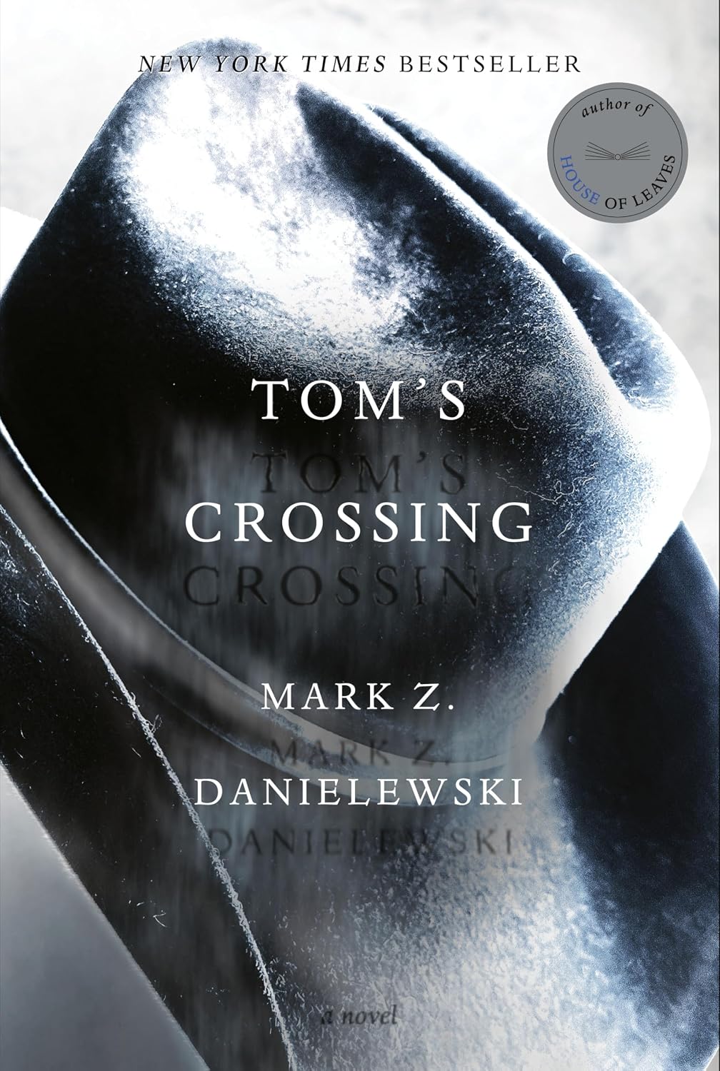 Tom’s Crossing by Mark Z. Danielewski book cover