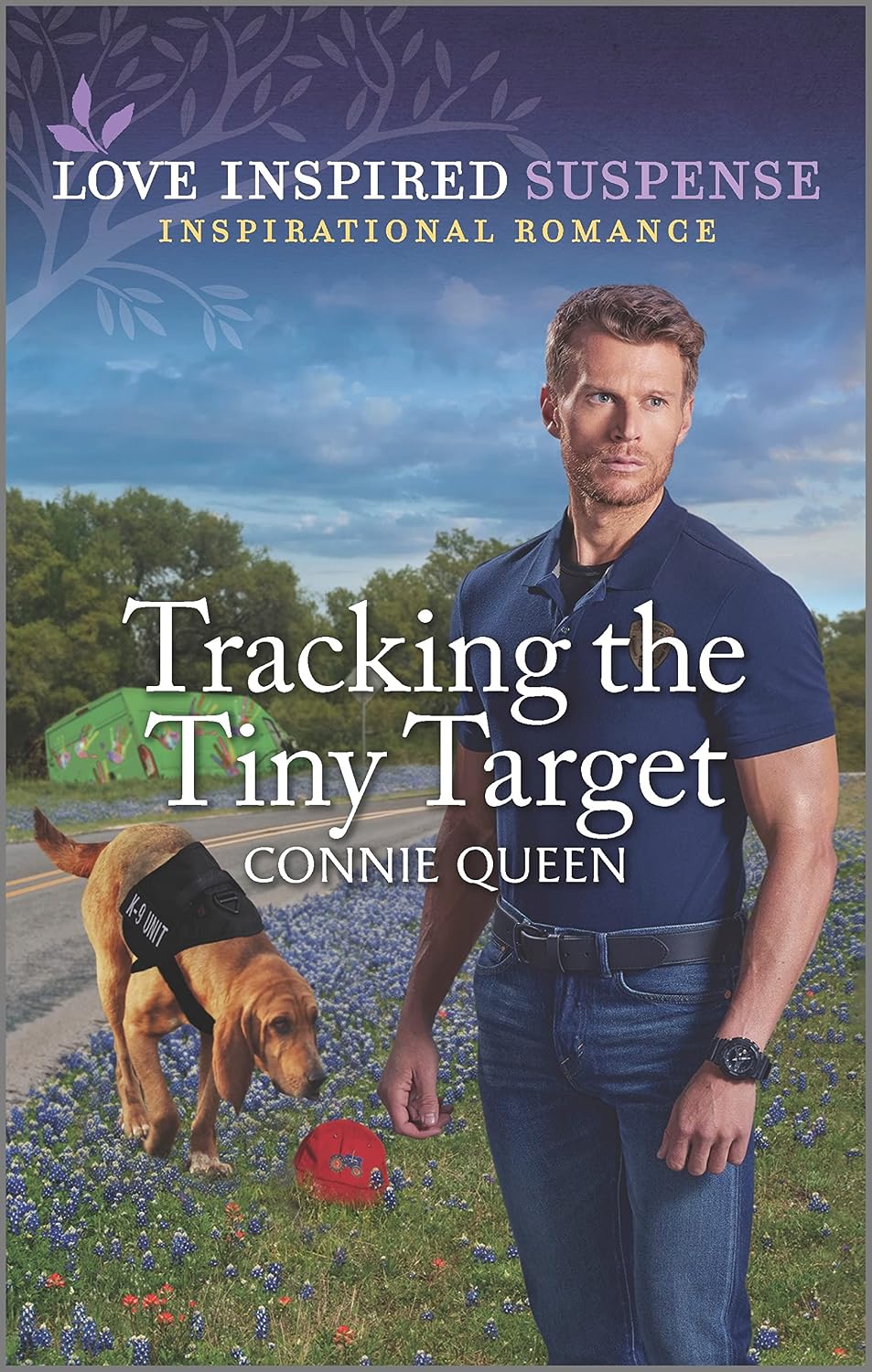 Tracking the Tiny Target by Connie Queen book cover