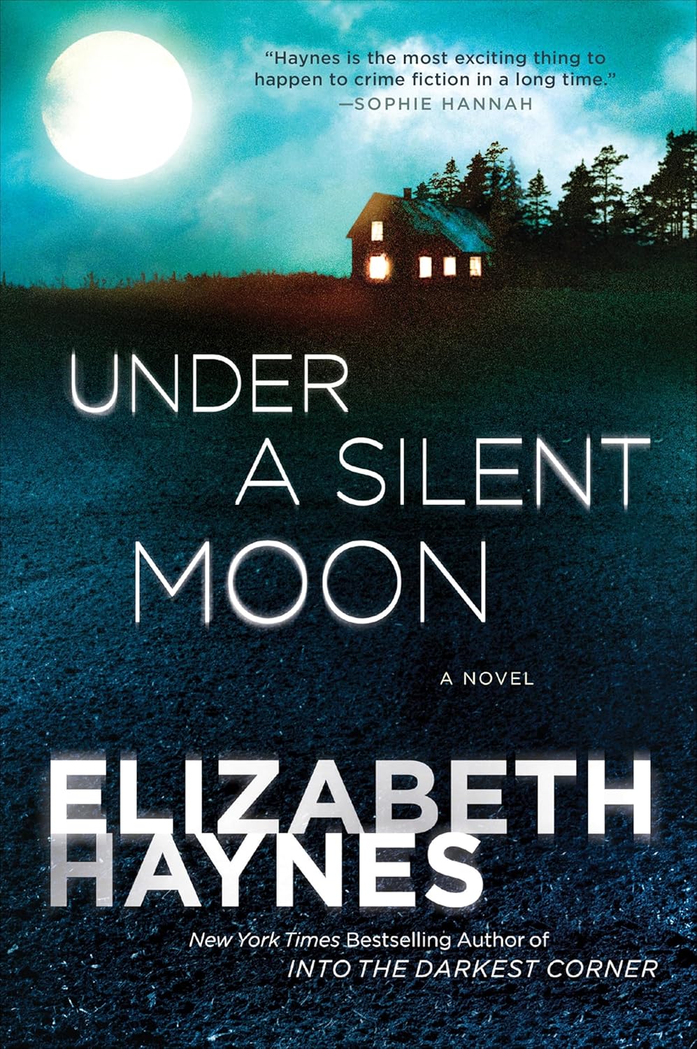 Under a Silent Moon by Elizabeth Haynes book cover