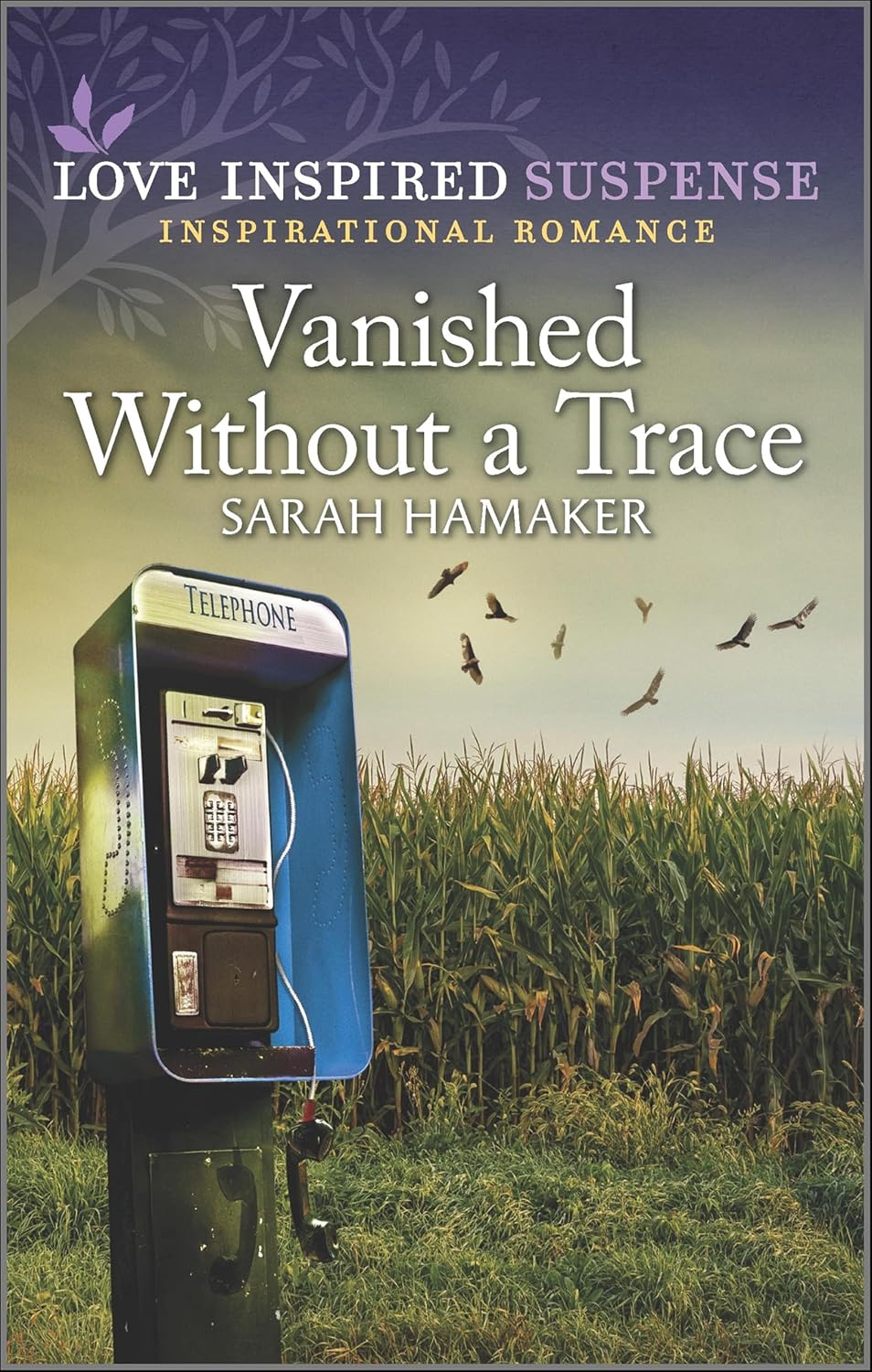 Vanished Without a Trace by Sarah Hamaker book cover