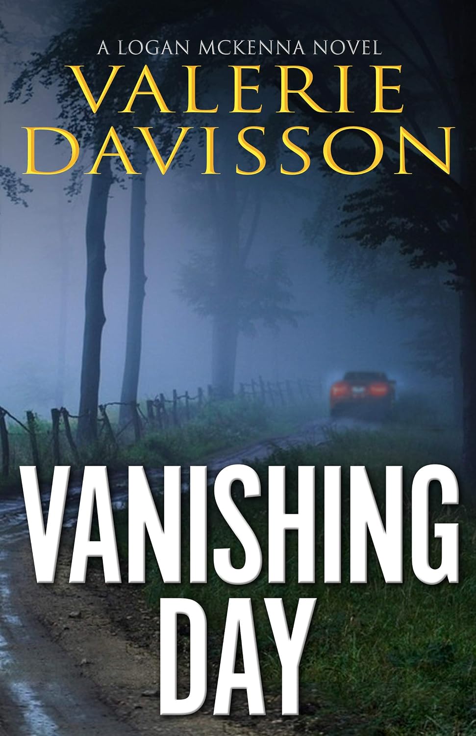 Vanishing Day by Valerie Davisson book cover
