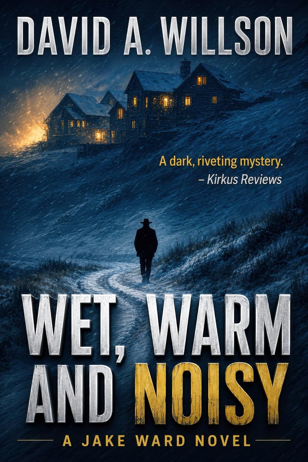 Wet, Warm and Noisy by David A. Willson book cover