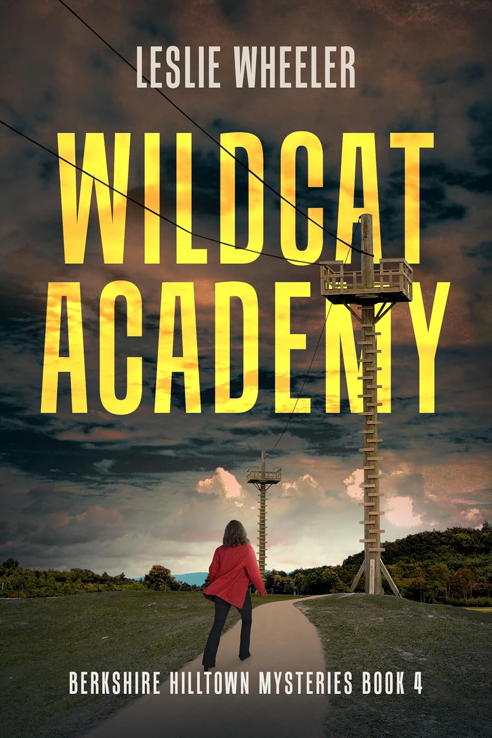 Wildcat Academy by Leslie Wheeler book cover
