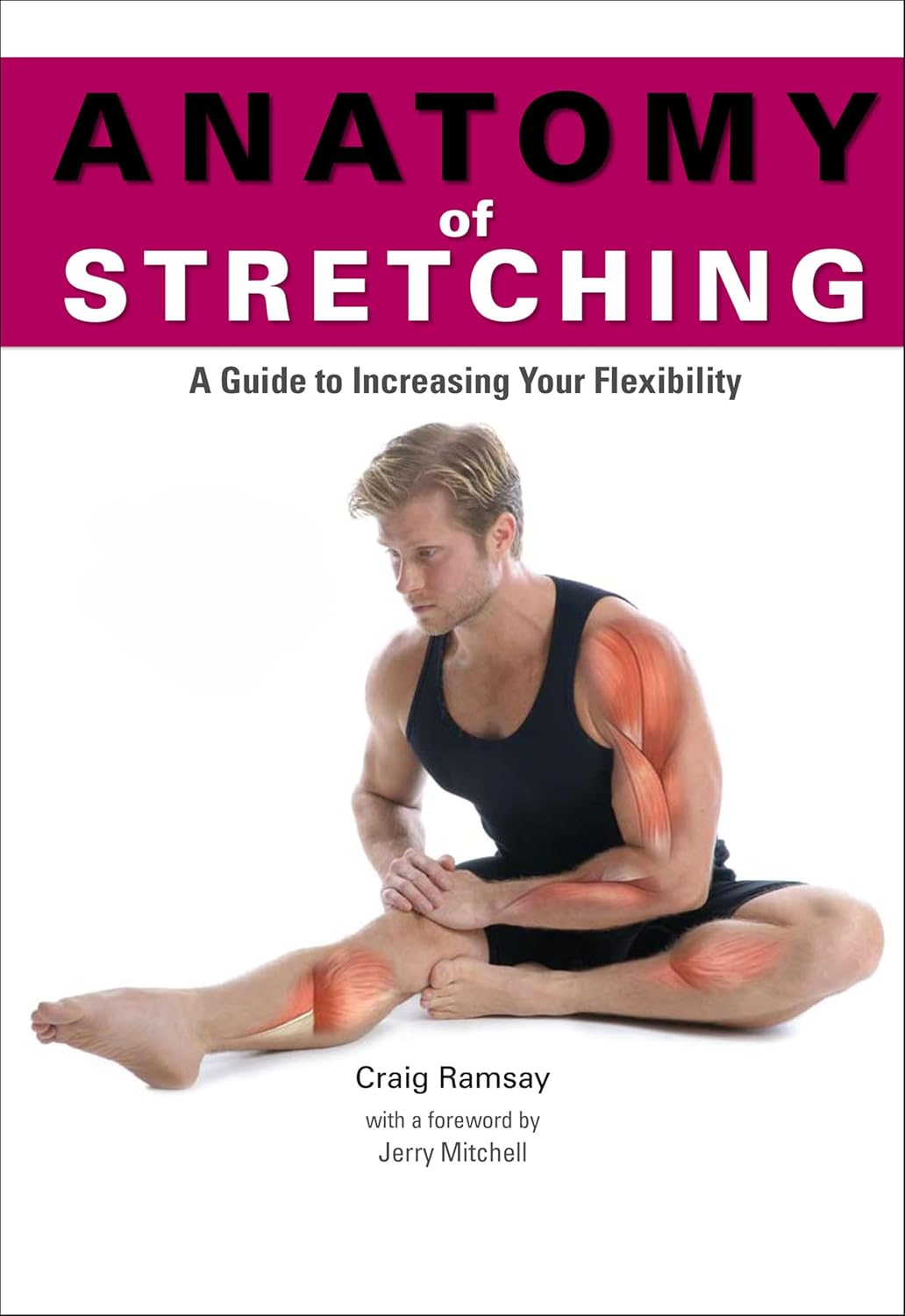 Anatomy of Stretching by Craig Ramsay book cover
