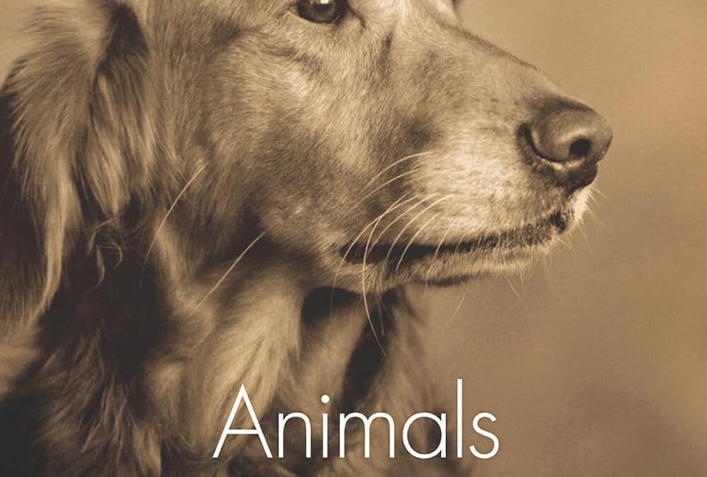 Animals Make Us Human