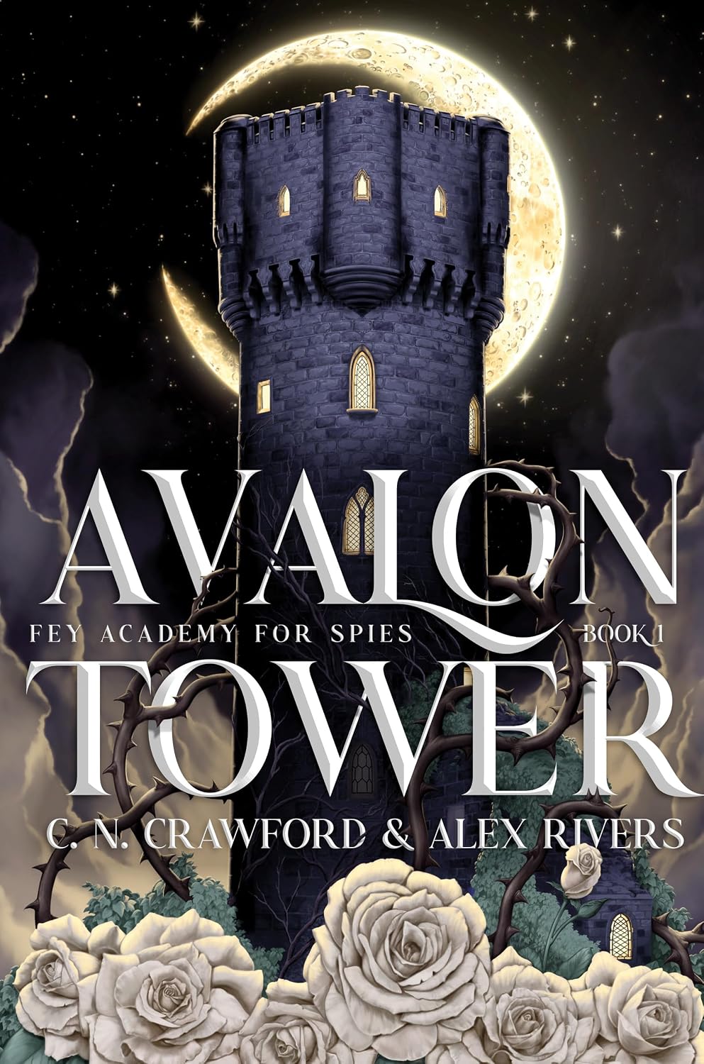 Avalon Tower by C.N. Crawford book cover