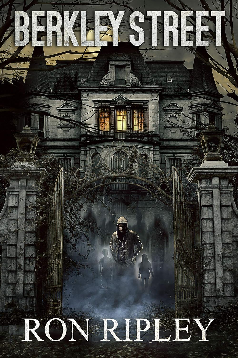 Berkley Street by Ron Ripley book cover
