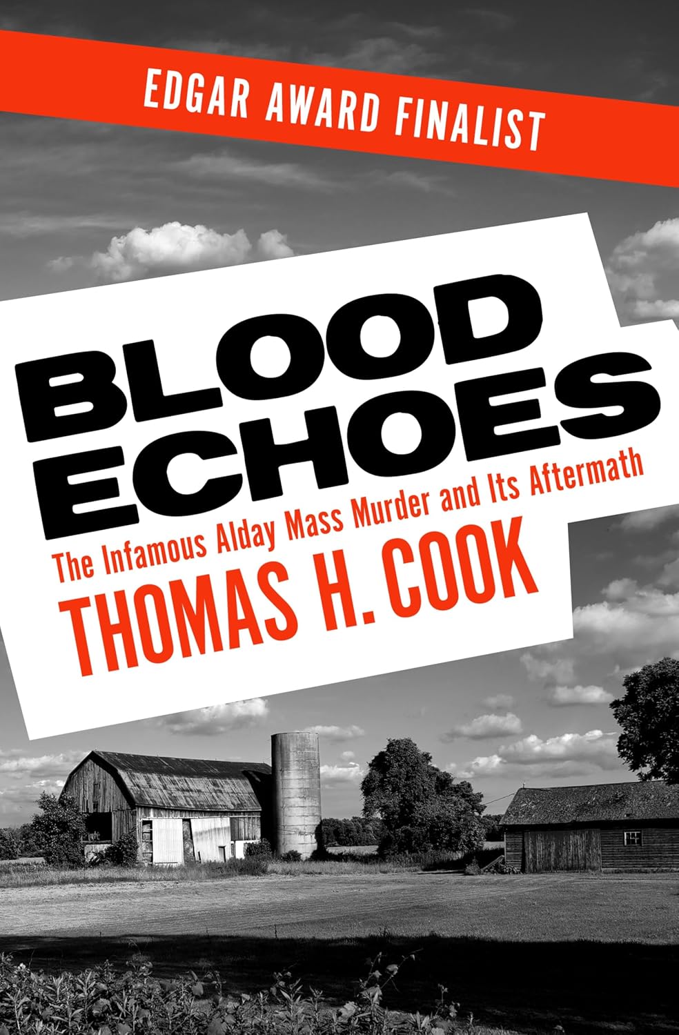 Blood Echoes by Thomas H. Cook book cover