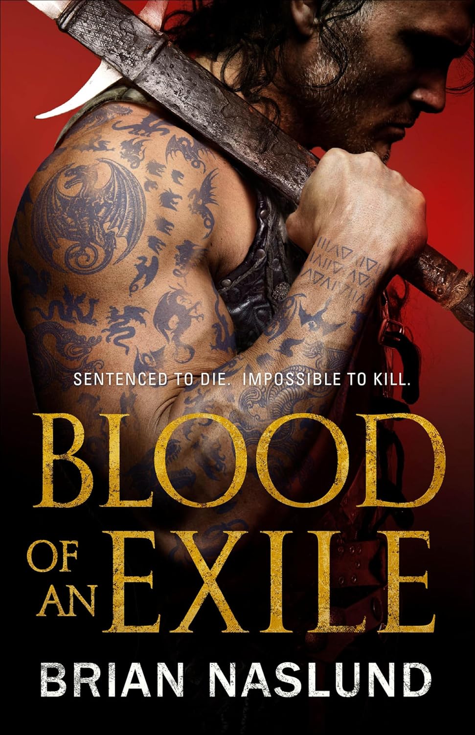 Blood of an Exile by Brian Naslund book cover