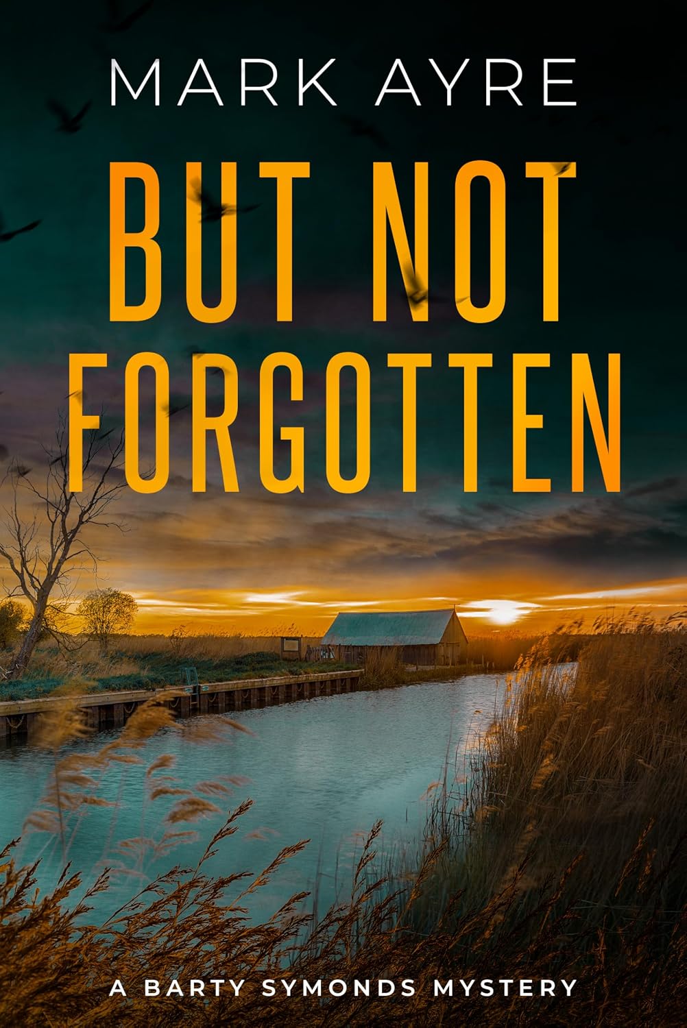But Not Forgotten by Mark Ayre book cover