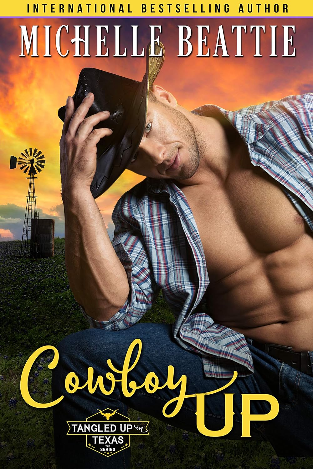 Cowboy Up by Michelle Beattie book cover