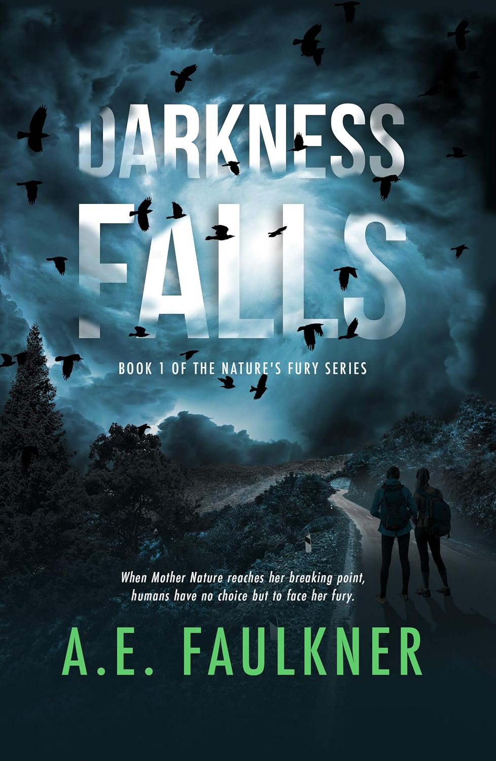 Darkness Falls by A.E. Faulkner book cover