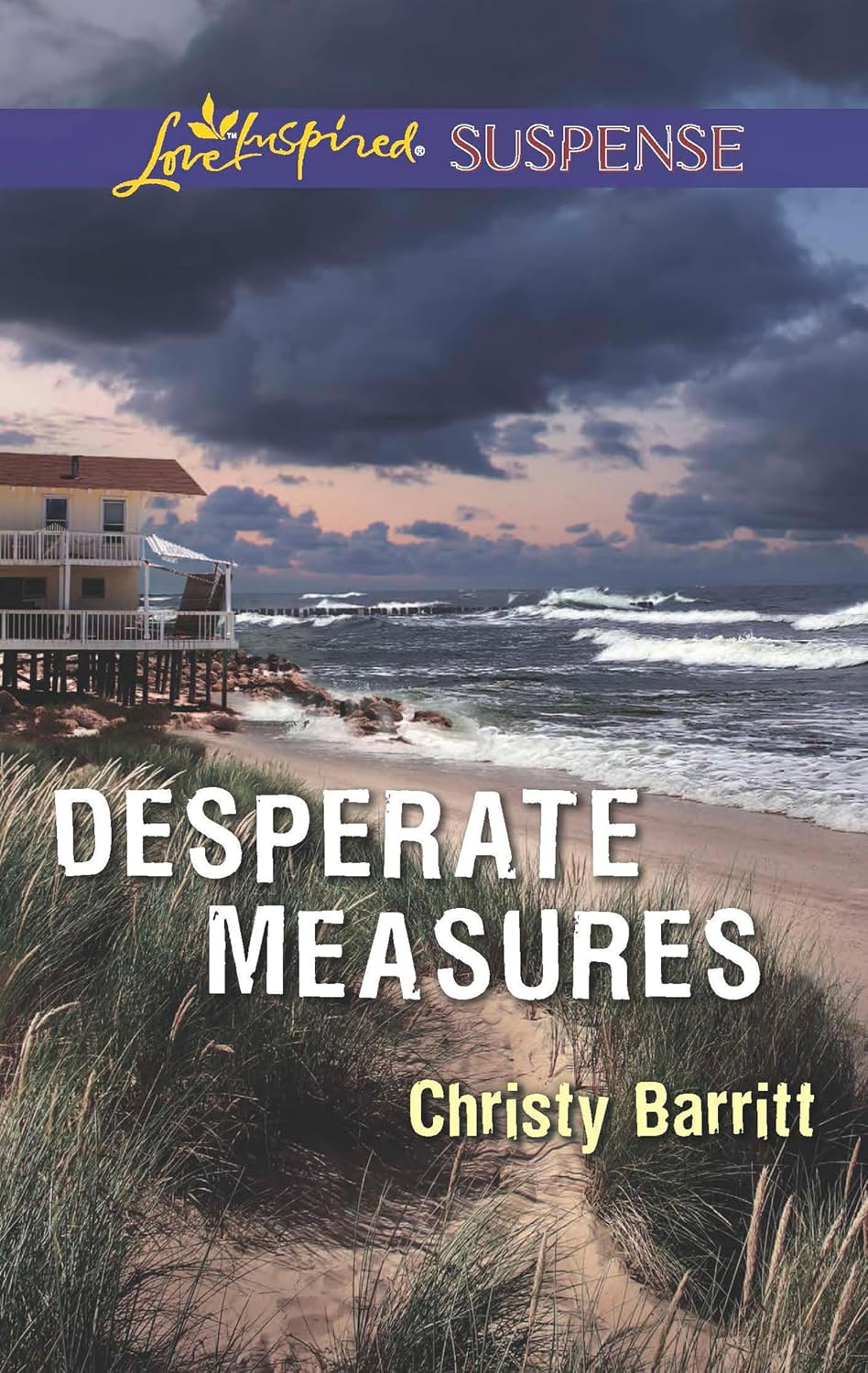 Desperate Measures by Christy Barritt book cover