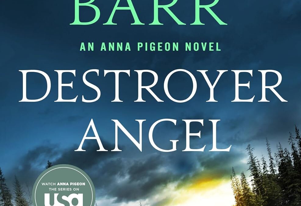 Destroyer Angel