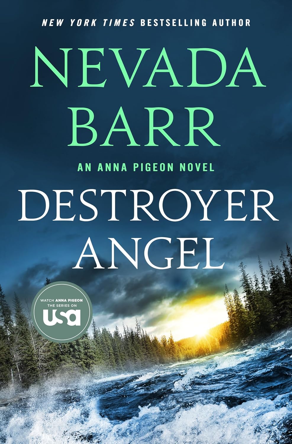 Destroyer Angel by Nevada Barr book cover