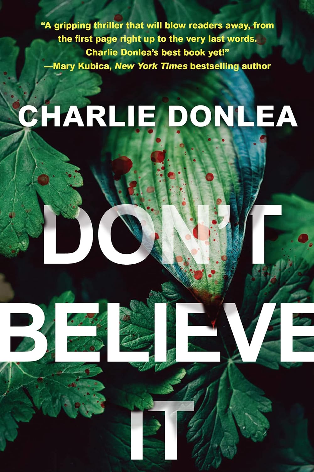 Don’t Believe It by Charlie Donlea book cover