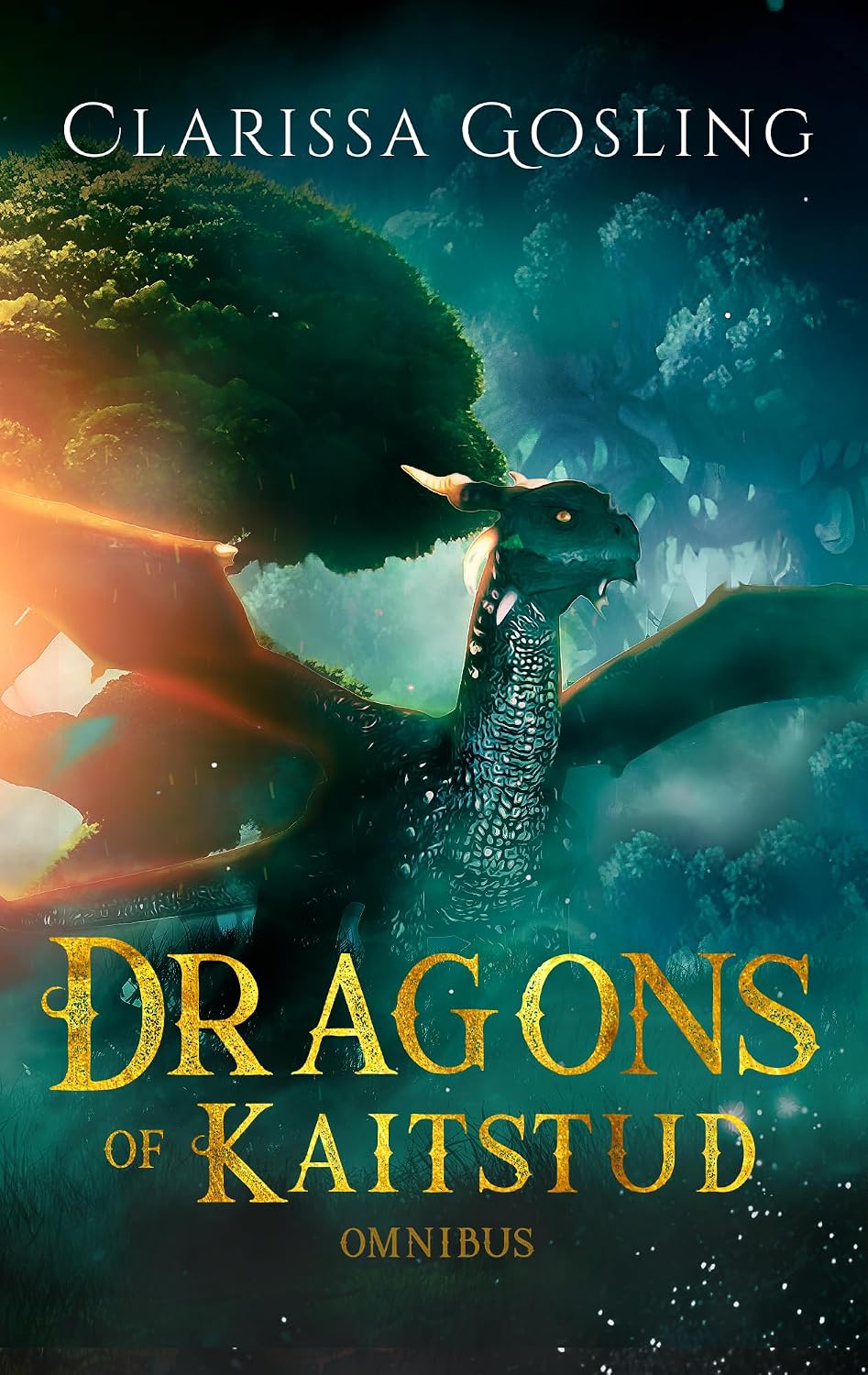 Dragons of Kaitstud Omnibus by Clarissa Gosling book cover