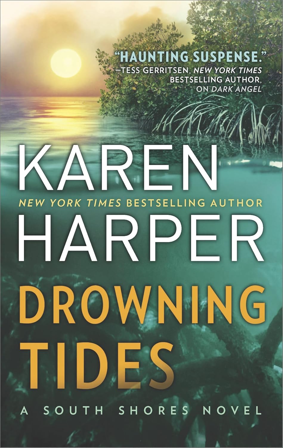 Drowning Tides by Karen Harper book cover