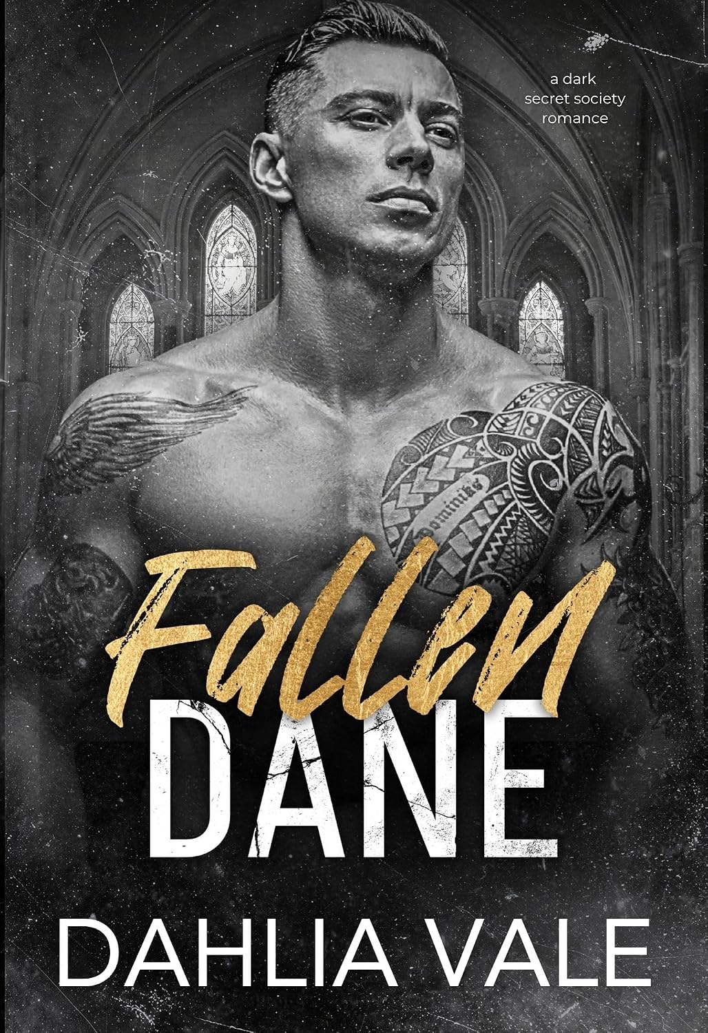 Fallen Dane by Dahlia Vale book cover