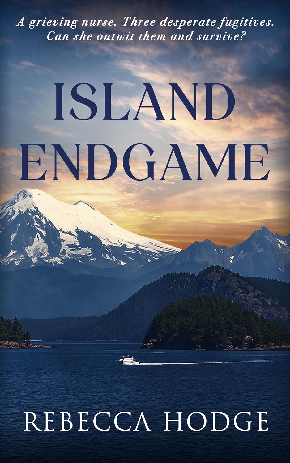 Island Endgame by Rebecca Hodge book cover