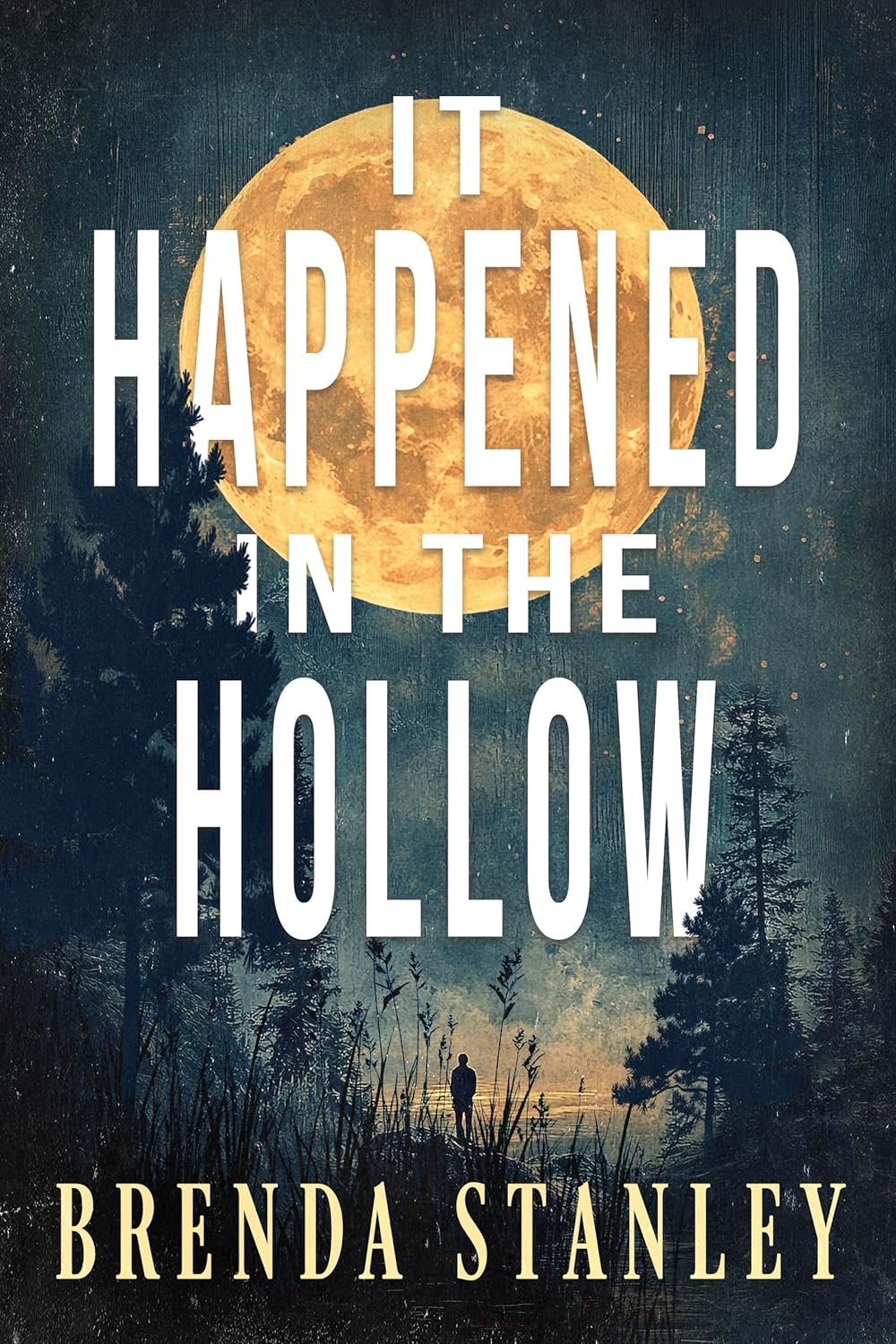 It Happened in the Hollow by Brenda Stanley book cover