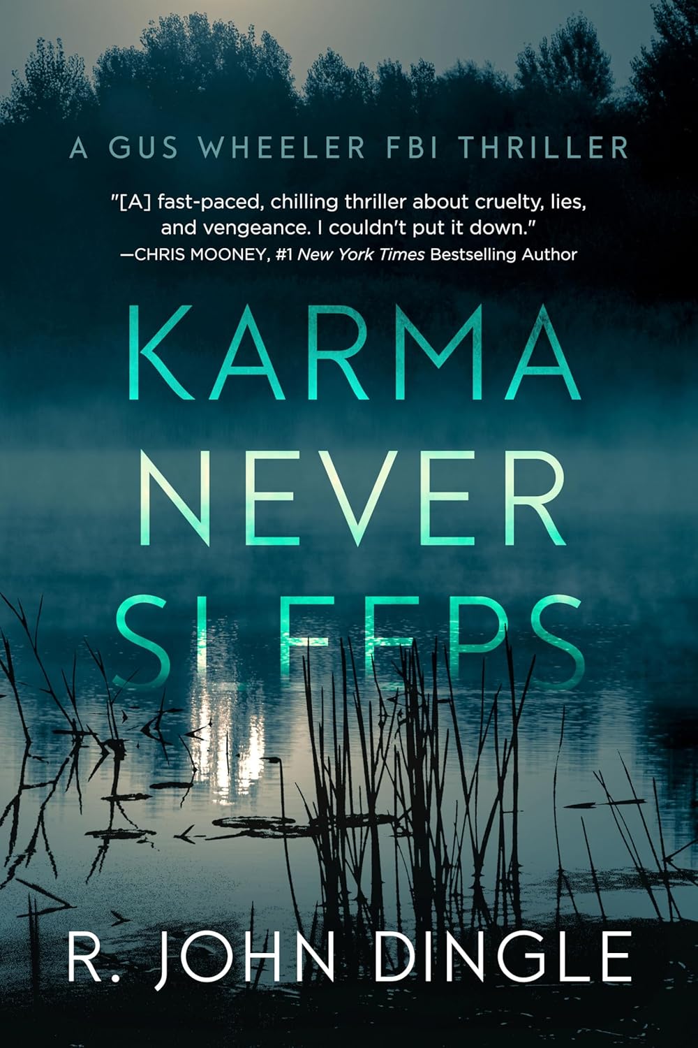 Karma Never Sleeps by R. John Dingle book cover