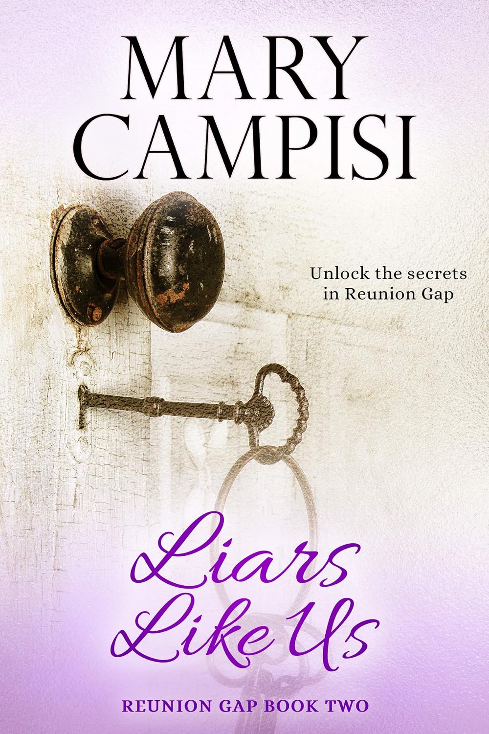Liars Like Us by Mary Campisi book cover
