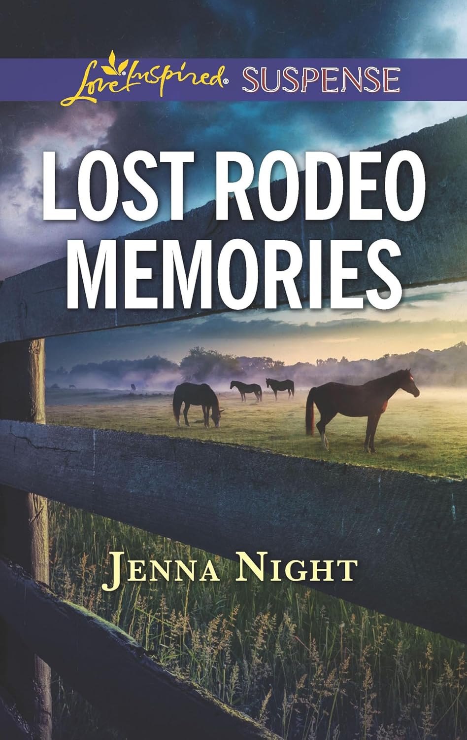 Lost Rodeo Memories by Jenna Night book cover
