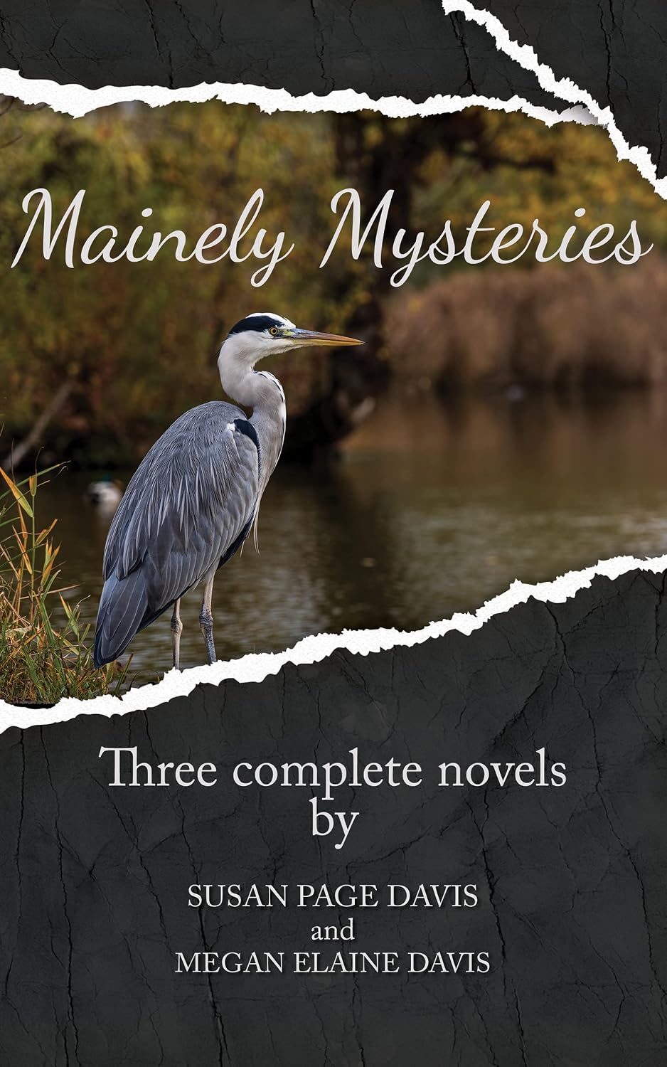Mainely Mysteries (Boxed Set)