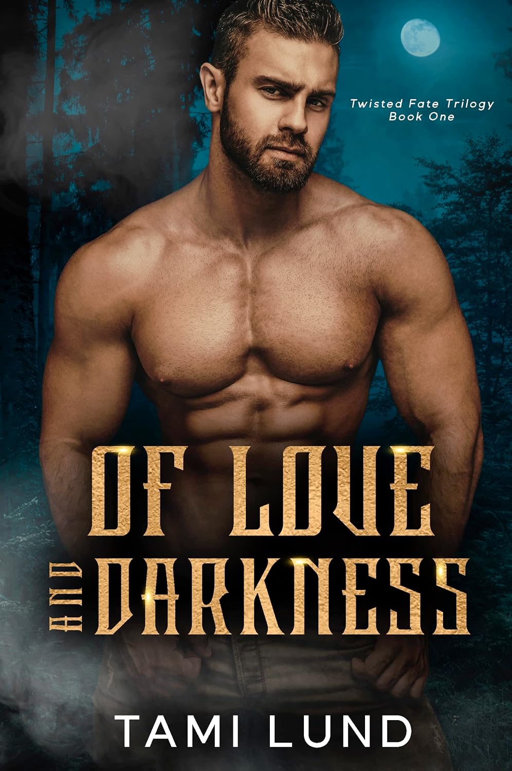 Of Love and Darkness by Tami Lund book cover