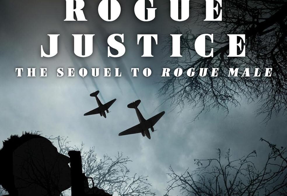 Rogue Justice