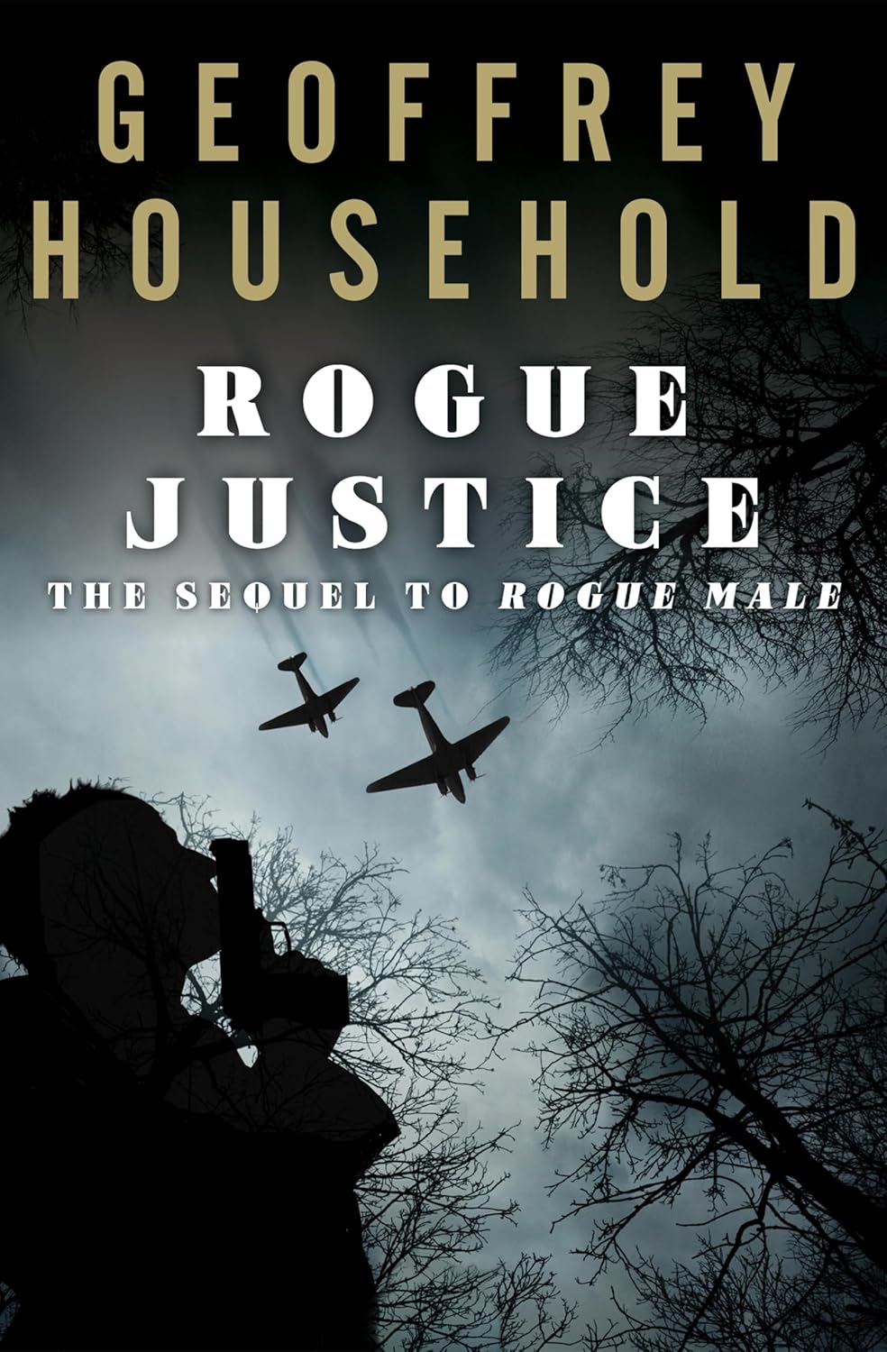 Rogue Justice