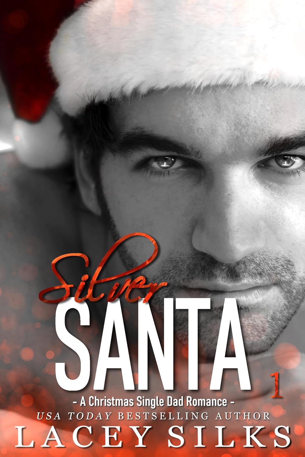 Silver Santa by Lacey Silks book cover