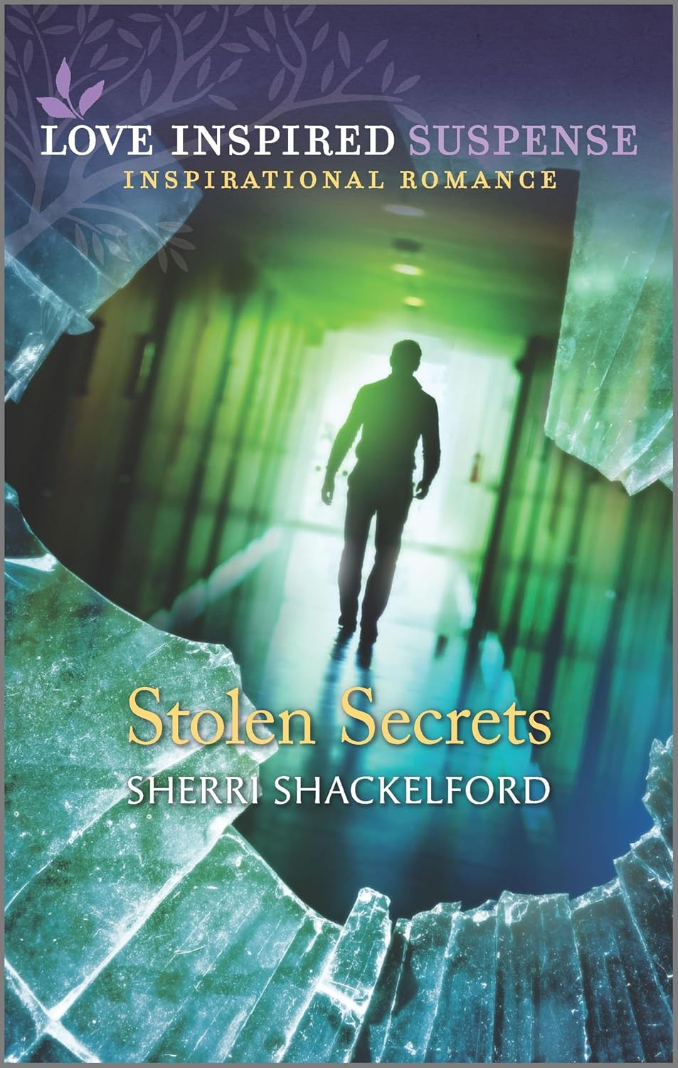 Stolen Secrets by Sherri Shackelford book cover