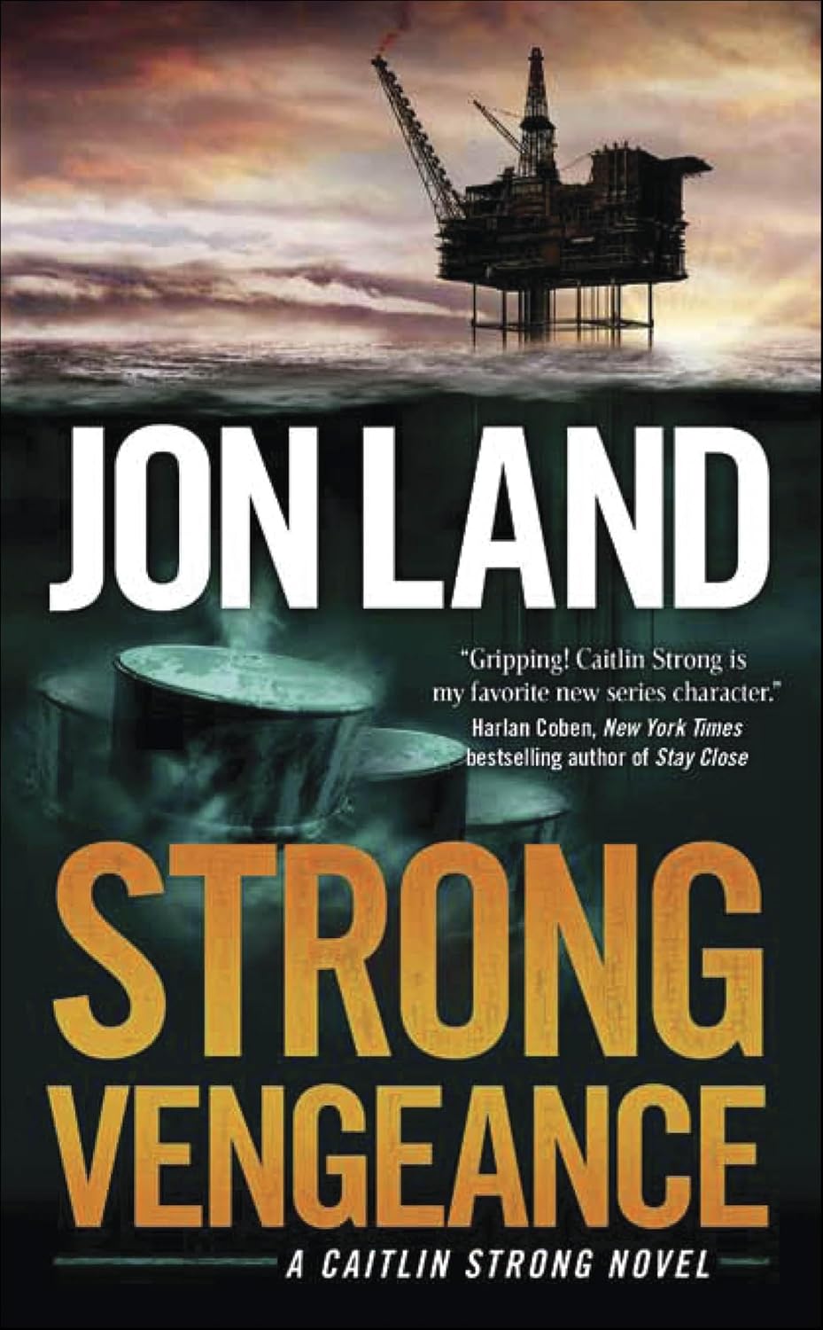 Strong Vengeance by Jon Land book cover