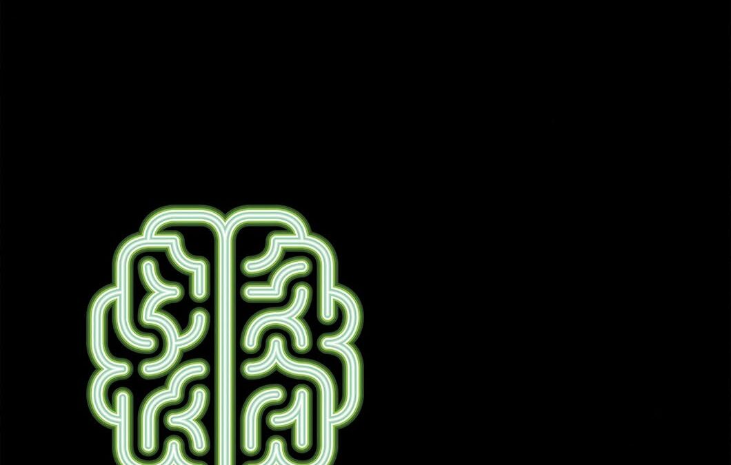 The Conscious Mind