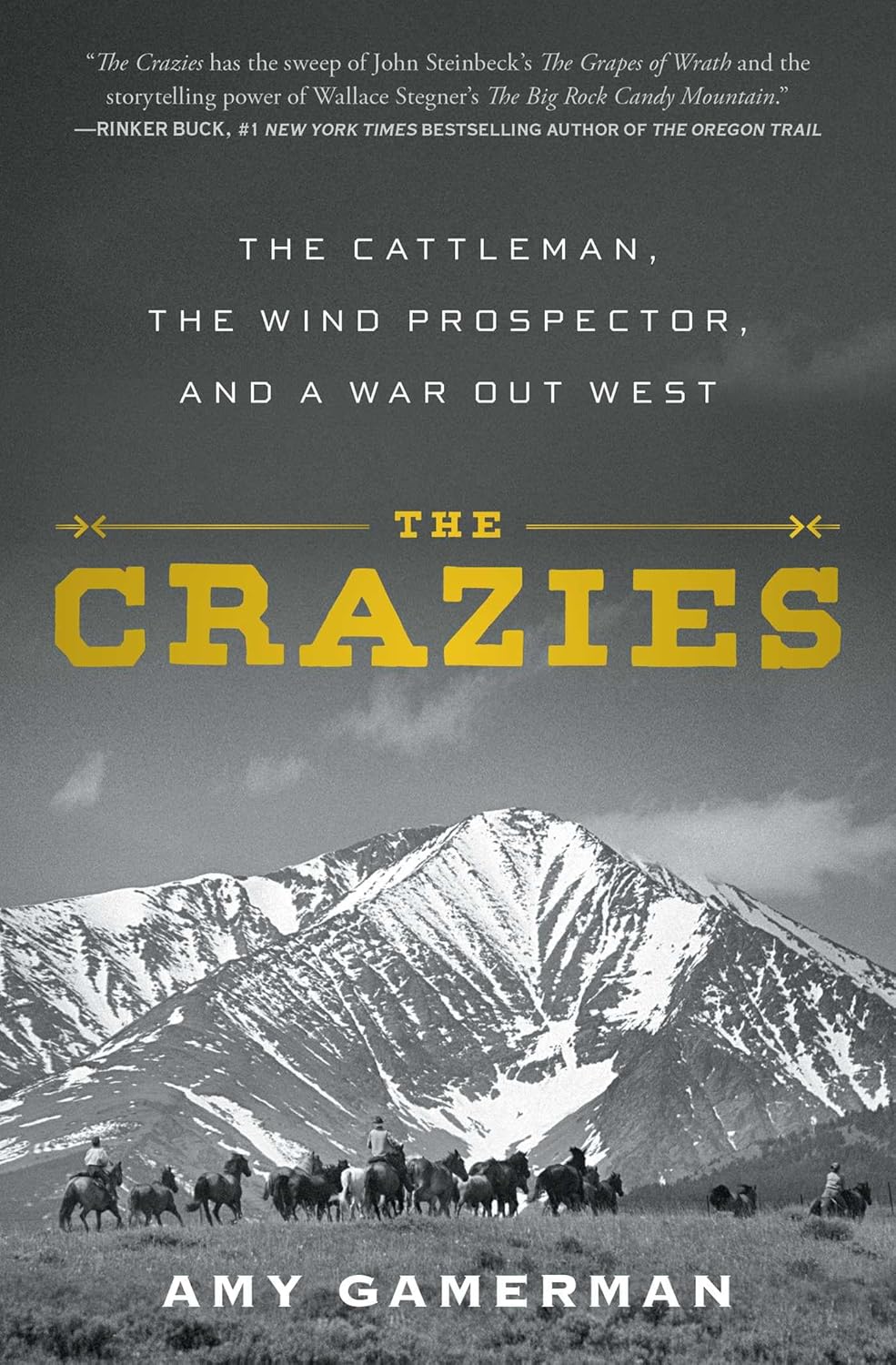 The Crazies by Amy Gamerman book cover