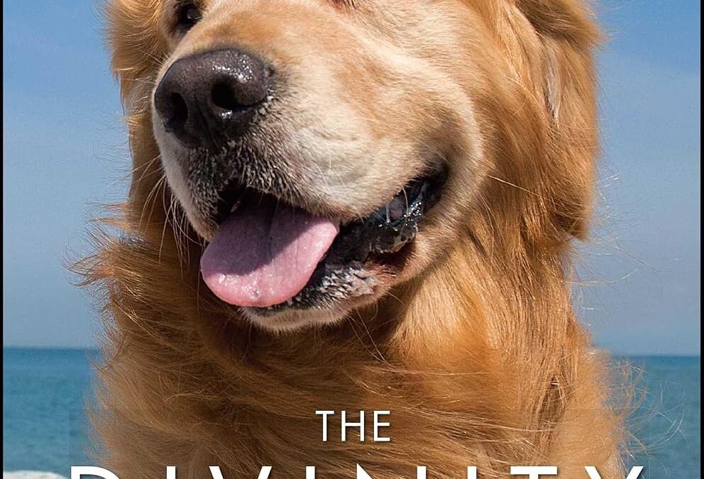 The Divinity of Dogs