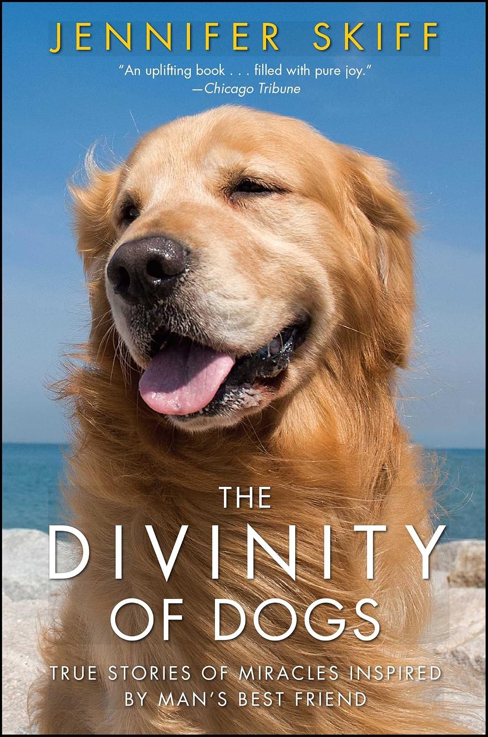 The Divinity of Dogs by Jennifer Skiff book cover